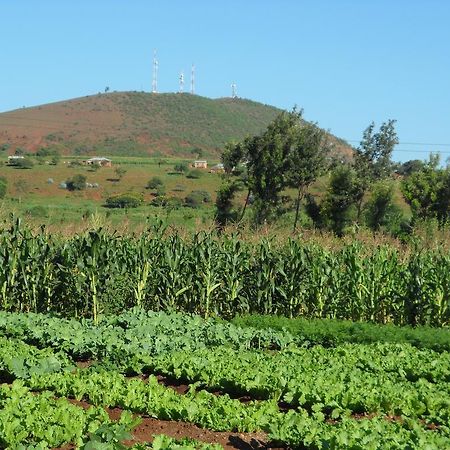 Farm Of Dreams Lodge كاراتو المظهر الخارجي الصورة