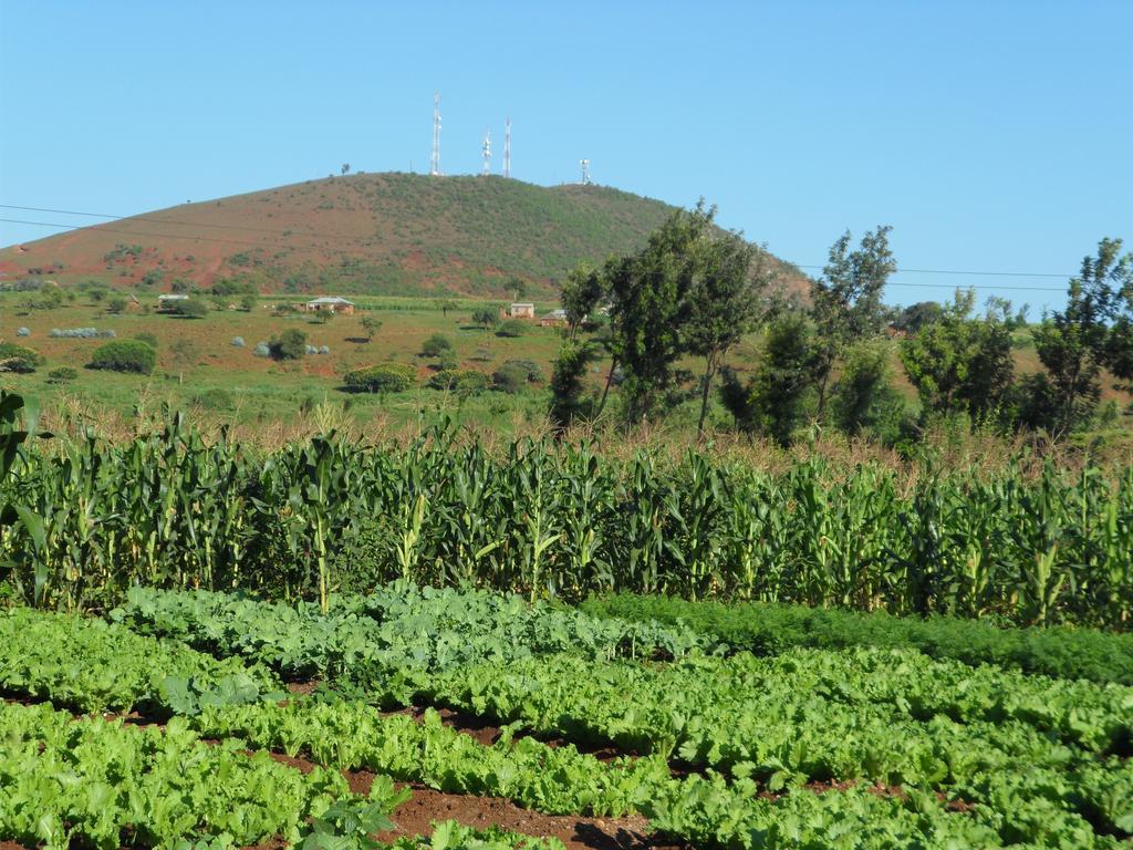 Farm Of Dreams Lodge كاراتو المظهر الخارجي الصورة